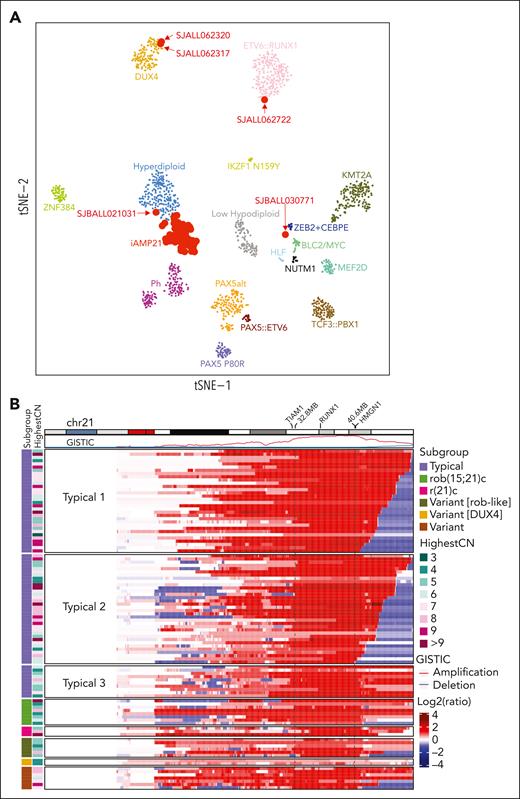 Clustering pattern based on gene expression and chromosome 21 copy number variation of iAMP21-ALL. (A) t-distributed stochastic neighbor embedding plot showing gene expression profiling of 1493 B-ALL samples, including 92 iAMP21-ALL samples. Each dot represents a sample. The top 1000 most variable genes (on the basis of median absolute deviation) were selected and processed by the t-distributed stochastic neighbor embedding algorithm with a perplexity score of 30. Eighty-seven cases clustered together, forming an iAMP21-ALL cluster. One carrier of rob(15;21)c with a tetraploid clone clustered with the ETV6::RUNX1 cases (SJALL062722), 1 typical case clustered with the ZEB2 plus CEBPE group (SJBALL030771), and 1 typical case with gains of chromosomes 14 and 21 clustered with high hyperdiploidy (SJBALL021031), whereas 2 cases were located within the DUX4 cluster. (B) Heatmap showing DNA copy number profiles of chromosome 21 derived from WGS data of 102 cases. The log2 ratio of copy number was calculated based on the tumor and germ line samples for each case, with red and blue showing copy number amplification/gain and deletion, respectively. Each row represents a sample. The ideogram for chromosome 21 as well as GISTIC scores for copy number amplification and deletion is shown across the top. Subgroup information and the number of copies in the most highly amplified region (HighestCN) are shown on the left. The highlighted region between the 2 dashed lines represents the common region of gain derived from GISTIC analysis including all patients (32.8-40.6 Mb, between TIAM1 and HMGN1). RUNX1 is located within this common region. Typical 1 cases (n = 32) exhibit the deletion of the chromosome 21 sub-telomeric region without juxta-centromeric deletions. The size of the sub-telomeric deletions ranged from 0.1 Mb to 6.9 Mb. Typical 2 cases (n = 34) exhibit the deletion of both sub-telomeric and juxta-centromeric regions of chromosome 21. Typical 3 cases (n = 10) exhibit deletions of only juxta-centromeric regions.