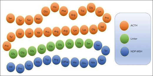Amino acid sequence of melanocortin fusion protein AQB-565. ACTH is linked at the N-terminal to NDP-MSH via a peptide linker to create AQB-565, which is 47 amino acids in length.