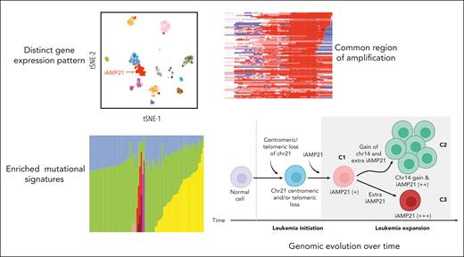 Genomic characterization of iAMP21-ALL. Chr, chromosome.