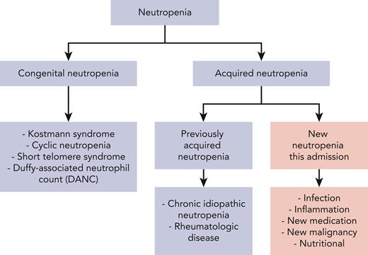 Differential of neutropenia with inpatient consultative questions highlighted in pink.