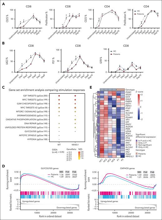 Time-course analysis of proliferation, activation, and upregulation of checkpoint inhibitors of T cells in parallel to RNA sequencing reveals their delayed responses associated with perturbed metabolism. (A) Representative graphs showing the percentage of CD4+ or CD8+ T cells with upregulated CD25 surface expression after stimulation with CD3/CD28 beads and percentage of proliferation by measuring the dilution of VPD450 in CD4+ and CD8+ T cells from patients and 3 HCs at basal state (unstimulated), and on days 1, 2, 3, 4, 7, and 8 (and day 10 for PD1 and GITR) after stimulation. Marker up/downregulation was measured via flow cytometry at basal state (before stimulation), and on days 1, 2, 3, 4, 7, and 8 (and day 10 for PD1 and GITR) after stimulation. (B) Summary graphs showing the percentage of CD8+ T cells that have upregulated PD1, LAG3, AITR/GITR surface expression after stimulation with CD3/CD28 beads measured via flow cytometry at basal state (unstimulated), and on days 1, 2, 3, 4, 7, and 8 (and day 10 for PD1 and GITR) after stimulation. (C) PBMCs from patients and 4 HCs were stimulated with CD3/CD28 beads, and on the third day after stimulation CD8+ T cells were sorted via flow cytometry. Bulk RNA sequencing was performed on sorted CD8+ T cells. Plots show the gene set enrichment analysis of 50 hallmark functions based on calculated NES. Pathways are stratified for the top 10 most significantly upregulated pathways upon stimulation comparing patients and the HCs. (D) Plots showing the calculation of ranking of NES within gene set enrichment analysis from hallmark databases representing the stimulation-induced changes in expression of CD8+ T cells in patients and HCs with regard to OXPHOS (right) and glycolysis gene sets (left). (E) Heatmap showing the expression of genes involved in glucose metabolism extracted from bulk RNA-sequencing analysis. Significance for gene expressions is indicated in panel E.