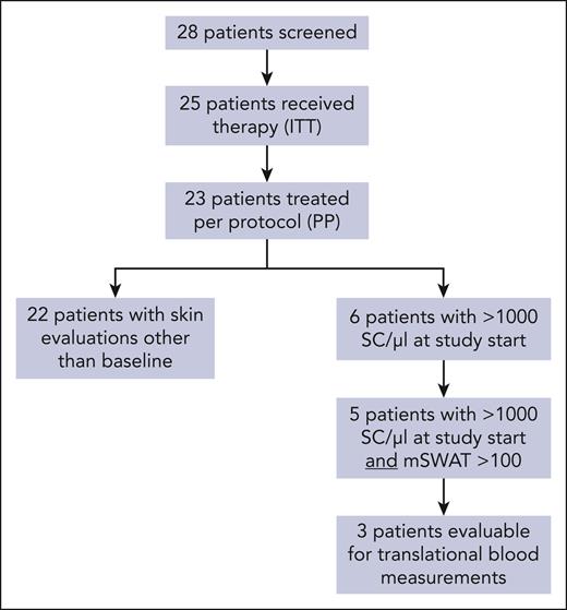 Flowchart of the patient populations in the study.