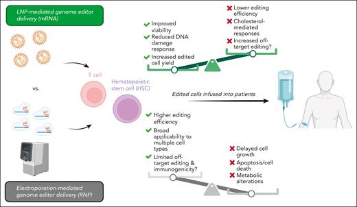 Electroporation-mediated delivery of gene-editing agents is associated with cytotoxicity. In their work, Vavassori et al demonstrate that ex vivo LNP-mediated delivery of gene editors to T cells and HSPCs results in lower cytotoxicity, reduced DNA damage responses, and higher cell yield.