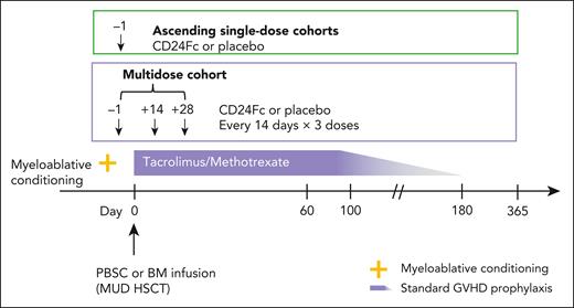 Phase 2a study schema of CD24Fc for GVHD prevention. Two ascending single-dose cohorts and a multidose cohort. BM, bone marrow; PBSC, peripheral blood stem cell.