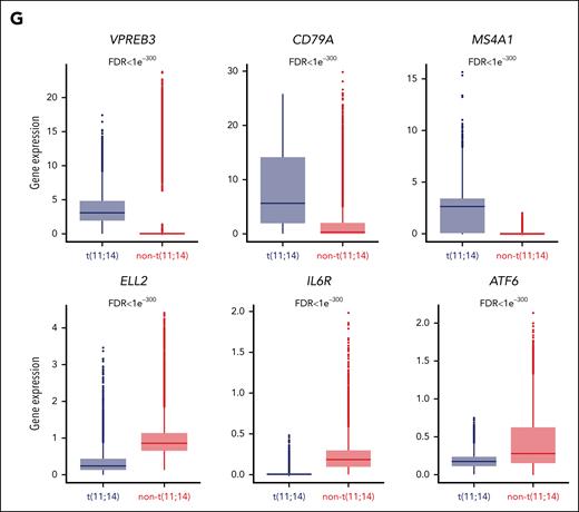 t(11;14) MM cells are characterized by a B-cell–like epigenetic signature. (A) Enrichment heat maps of the peaks identified in each group (FDR ≤ 0.01 and Log2FC ≥ 1) using an independent bulk ATAC-seq data specific for MB cells and PCs. (B) Odds ratios indicate the overlap of the DARs identified in the t(11;14) MM cells (blue) and in the non-t(11;14) (red) when compared with those present in the MB cells and PCs. The error bars denote the 95% confidence interval calculated using a two-sided Fisher exact test. (C) Violin plots of the normalized enrichment score (NES) obtained in the t(11;14) vs non-t(11;14) MM groups. These data were generated on the integrated scRNA-seq counts using the Molecular Signatures databases (msigdb) for BM B cells (C8, HAY_BONE_MARROW_FOLLICULAR_B_CELL) and PCs (C8, HAY_BONE_MARROW_PLASMA_CELL). (D-E) Plots showing the top 30 most accessible motifs observed in t(11;14) (D) MM cell DARs and non-t(11;14) (E). The color scale represents the mlog10Padj with a light gray color indicating a low adjusted P value and a dark color a high adjusted P value. (F) Representation of the Tn5 bias–adjusted TF footprints for the B-cell motifs SPIB, SPI1, and PAX5; and the PC motifs PRDM1, RUNX1, and IRF7. The lines are colored in blue for the t(11;14) and red for non-t(11;14) MM cells. (G) Boxplots showing the scRNA expression of selected B-cell and PC genes identified by the DEG analysis and overexpressed in t(11:14) (blue) or non-t(11:14) (red) MM cells. The FDR values associated with each gene are shown at the top of each boxplot comparison.