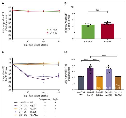 Complement, in contrast to FcγRs, is essential for in vivo antibody-mediated TRALI induction. C5-deficient (A-B) and BALB/c WT mice (C-D) were primed as described in Figure 1. (A,C) Rectal temperatures and (B,D) lung W/D weight ratios after 90 minutes of antibody infusion (C5-deficient mice: 4.5 mg/kg IV; BALB/c WT mice: 1 mg/kg IV). All human antibodies (C-D) were hIgG1 chimeric variants. Variants used were K322A (no C1q binding), ΔG236 (no FcγR binding), and PGLALA (no C1q/FcγR binding). Only statistical differences of interest are shown; each dot represents 1 mouse. n = 6; rectal temperatures: n = 2 for 34-1-2S–hIgG1; n = 5 for 34-1-2S and for 34-1-2S–ΔG236 because of reaching humane end points; other groups, n = 6. Data are shown as means ± SD; ∗∗∗∗P < .0001. Statistical analysis was performed with a one-way ANOVA with a Tukey post hoc test. NS, nonsignificant.