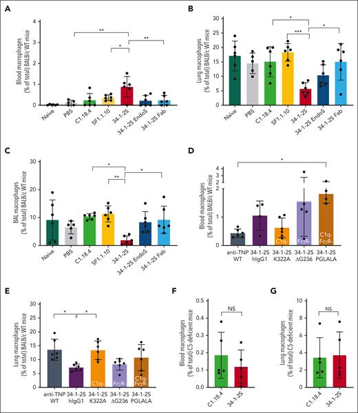 Fc-mediated complement activation is associated with macrophage trafficking from the lungs to the blood in in vivo antibody-mediated TRALI. BALB/c WT (A-E) and C5-deficient (F-G) mice were primed as in Figures 1 and 2, followed by infusion of indicated antibodies. (A) Blood, (B) lung tissue, and (C) BALF of BALB/c WT mice treated with respective antibodies 4.5 mg/kg IV, and (D) blood and (E) lung tissue of BALB/c WT mice treated with the indicated human chimeric antibodies, 1 mg/kg IV. (F) Blood and (G) lung tissue of C5-deficient mice (C57BL/6 with H2-kd) treated with mouse IgG2a antibodies (4.5 mg/kg IV). Only statistical differences of interest are shown; each dot represents 1 mouse. Data are shown as means ± SD; n = 4 to 6; ∗P < .05; ∗∗P < .01; ∗∗∗P < .001. Statistical analysis was performed with a one-way ANOVA with a Tukey post hoc test.