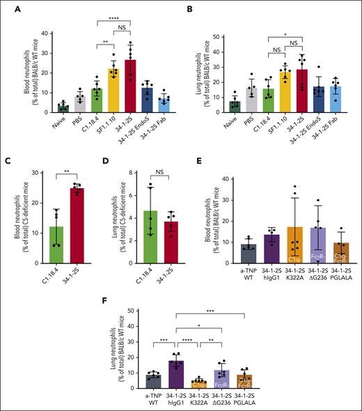 Neutrophil levels are increased in the blood and lungs of WT TRALI mice but not in lungs of C5-deficient mice. Neutrophils were assessed in the blood (A,C,E) and lung tissue (B,D,F) in BALB/c WT (A-B,E-F) mice or C5-deficient mice (C), treated as in Figures 1-3 and infused with 4.5 mg/kg of specified antibodies IV or (E-F) 1 mg/kg IV for the human chimeric antibody variants. Only statistical differences of interest are shown; each dot represents 1 mouse; n = 5 to 6. Data are shown as means ± SD. Statistical analysis was performed with a one-way ANOVA with a Tukey post hoc test; ∗P <.05; ∗∗P < .01; ∗∗∗∗P < .0001.