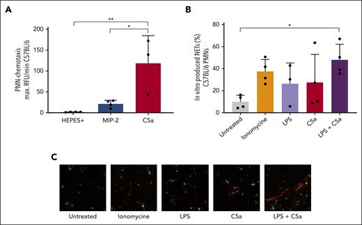 NETs are induced in an in vitro TRALI setting with C5a, which mimics the complement-inducing effect of 34-1-2S. (A) Neutrophils from the bone marrow of C57BL/6 WT mice in a chemotaxis assay under indicated conditions. (B) In vitro NET formation under indicated conditions. (C) Representative images; original magnification ×20, with digital zoom to increase visibility. Only statistical differences of interest are shown; each dot represents neutrophils isolated from 1 individual mouse, n = 3 to 4. Data are shown as means ± SD. Statistical analysis was performed with a one-way ANOVA with a Tukey post hoc test; ∗P < .05; ∗∗P <.01.