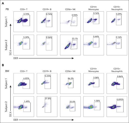 Representative PrimeFlow assay data showed EBV-infected hematologic cells in CAEBV. (A) EBV-infected cells are identified in CD3+ T cells, CD19+ B cells, CD56+ NK cells, CD14+ monocytes, and CD15+ neutrophils from PB samples of the patients with CAEBV (subjects 1 and 2). (B) EBV-infected cells are identified in CD3+ T cells, CD19+ B cells, CD56+ NK cells, CD14+ monocytes, and CD15+ neutrophils from BM samples of the patients with CAEBV (subjects 1 and 2). Refer to supplemental Figure 3A for megakaryocytes and erythrocytes. In each panel, the top row shows the data from subject 1, whereas the bottom row shows the data from subject 2. Both patients were diagnosed as CAEBV, and the EBV-infected cells were found in almost all hematologic cell types. SSC-A, side scatter-area.