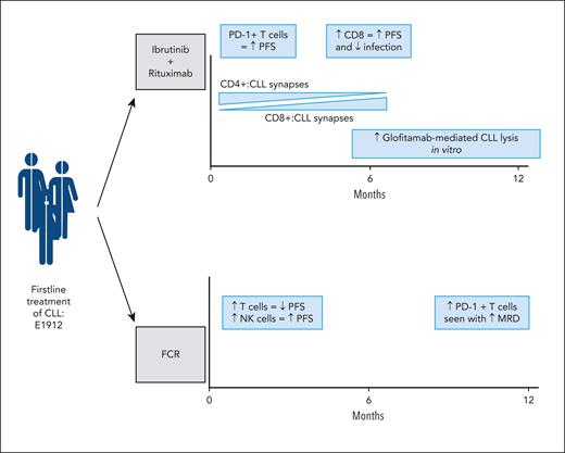 Clinical correlates of T-cell immune profile at 0, 6, and 12 months for patients in the E1912 study randomized to I+R or FCR treatment. PFS, progression-free survival. Created using Biorender.com.