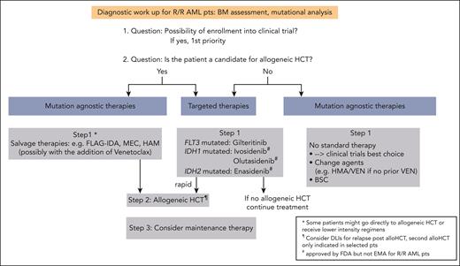 Proposed algorithm for the treatment of patients with R/R AML. alloHCT, allogeneic HCT; BSC, best supportive care; Pts, patients.