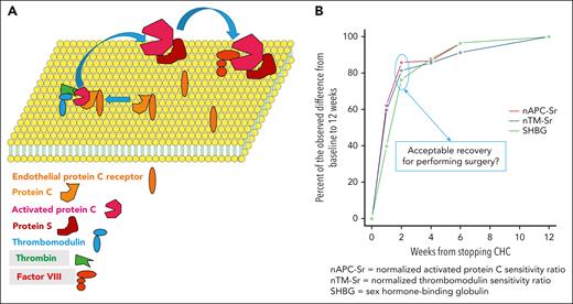 Recovery of hemostatic balance after CHC cessation. (A) On a phospholipid bilayer on the endothelial cell, the endothelial protein C receptor together with protein C approach thrombomodulin, which has captured circulating thrombin. Protein C then becomes activated. Together with the cofactor protein S, activated protein C becomes even more efficient in inhibiting activated factor VIII and factor V (not shown). Thus, thrombomodulin and activated protein C are important components in reduction of the thrombin generation that was measured. (B) Kinetics of the recovery to normal, approximated to 12 weeks after discontinuation of CHC.