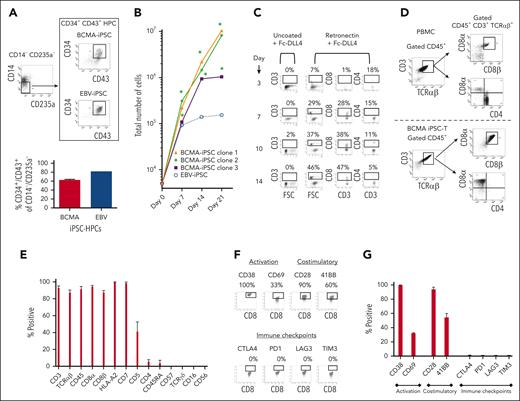 Isolation and differentiation of iPSC-HPCs into BCMA iPSC–T cells with a mature CD8αβ+ cell phenotype. (A, top) Representative gating strategy for isolation of HPCs (CD34+ CD43+/CD14− CD235a−) from BCMA-specific EBs sorted using FACS. (A, bottom) Summary of 3 independent analyses (N = 3; mean ± SD). (B) Summary of the increase in total cell numbers during differentiation of BCMA-iPSC HPCs (N = 3) or EBV-specific iPSC HPCs from the initial number of cells (5 × 103; day 0) (∗P < .05). (C) Representative flow cytometric analyses demonstrating a gradual differentiation of BCMA iPSC-HPCs (day 14 > 10 > 7 > 3) into CD3+ and CD8+ T lymphocytes using retronectin-coated culture plates in the presence of Fc-DLL4. (D) Representative flow cytometric analysis comparing phenotype of primary T cells (CD3+ CD45+ TCR αβ+ / CD4+ CD8α+ CD8β+) in healthy donor’s peripheral blood mononuclear cells (top) and BCMA iPSC–T cells (CD3+ CD45+ TCR αβ+/CD4− CD8α+ CD8β+) on day 21 of T-cell differentiation (bottom). (E) Summary of overall BCMA iPSC–T-cell (N = 3; mean ± SD) phenotype on day 21 of the T-cell differentiation process. (F) Representative flow cytometric analyses of BCMA iPSC–T cells on day 21 of differentiation showing T-cell activation (CD38 and CD69) and costimulatory molecule (CD28 and 41BB) expression without immune checkpoint (CTLA-4, PD1, LAG3, and TIM3) expression. (G) Summary analyses of T-cell activation, costimulatory molecule, and immune checkpoint expression on BCMA iPSC–T cells (N = 3; mean ± SD) on day 21 of differentiation.