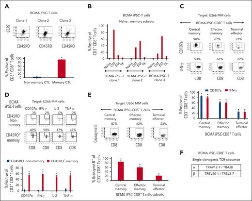 Characterization of the high anti-MM activities within the memory subsets of BCMA iPSC–T cells. (A, top) Representative flow cytometric analyses of the naïve:memory phenotype in BCMA iPSC–CD8+ T cells differentiated from BCMA-iPSC clones 1, 2, and 3. (A, bottom) Summary of total nonmemory (CD45RO−) and memory (CD45RO+) cell distribution on gated viable CD8+ T cells of the BCMA iPSC–T cells (N = 3; mean ± SD). (B) Summary of naïve (CD45RO− CCR7+), CM (CD45RO+ CCR7+), EM (CD45RO+ CCR7−), and terminal effector (TE; CD45RO− CCR7−) cell frequencies in BCMA iPSC–CD8+ T cells differentiated from each individual BCMA-iPSC clone. (C, top) Representative flow cytometric analyses demonstrating higher levels of CD107a degranulation and IFN-γ production within the CM and EM cell subsets of BCMA iPSC–CD8+ T cells than TE cells in response to U266 MM cells (effector-to-target cell ratio, 1:1). (C, bottom) Summary of 3 independent analyses (N = 3; mean ± SD). (D, top) Representative flow cytometric analyses demonstrating a significant induction of CD107a degranulation and Th1-type cytokine (IFN-γ/IL-2/TNF-α) production by CD45RO+ memory cells within BCMA iPSC–CD8+ T cells, not by CD45RO− nonmemory cells, in response to U266 MM cells. Effector-to-target cell ratio, 1:1. (D, bottom) Summary of 3 independent analyses (N = 3; mean ± SD). (E, top) Representative flow cytometric analyses showing higher granzyme B production by the CM and EM cell subsets within BCMA iPSC–CD8+ T cells compared with TE cells in response to U266 MM cells. Effector-to-target cell ratio, 1:1. (E, bottom) Summary of 3 independent analyses (N = 3; mean ± SD). (F) Identification of unique clonotype TCRα and TCRβ sequences based on single cell sequencing (N = 88; single cells analyses) in the complementarity-determining region 3 of BCMA iPSC–T cells.