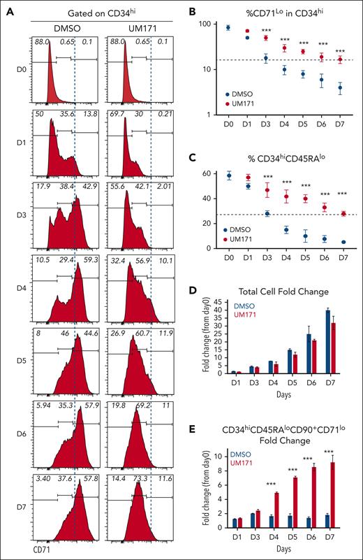 Reduced CD71 surface expression coincides with ex vivo expansion of HSC subsets. (A) FACS profiles showing kinetics of CD71 surface expression (as proxy for MYC transcriptional activity) on CD34+ CB cells cultured for 7 days in presence of DMSO or UM171 (35 nM). (B) Percentage of CD71lo cells in CD34hi primitive subsets generated in DMSO or UM171 culture conditions over a 7-day culture period. (C) Percentage of CD34hi CD45RAlo primitive cells. (D) Bar graph showing total cell and (E) CD34hiCD45RAloCD90+CD71lo cells fold expansion over day 0 in the indicated group. Representative of 3 independent experiments (2-sided Mann-Whitney U test; ∗P < .05, ∗∗P < .01, and ∗∗∗P < .001).