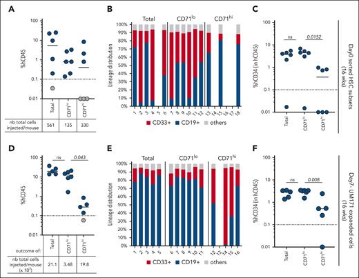 CD71lo (ie, MYClo) HSCs exhibit enhanced long-term repopulation. Human CD45 engraftment (A), lineage potential (B), and percentage of human CD34+ primitive subsets (C) were assessed at 16 weeks after transplantation for each NSG mouse transplanted with the indicated fresh unexpanded HSCs subset. Human CD45 engraftment (D), lineage potential (E), and percentage of human CD34+ primitive subsets (F) were assessed at 16 weeks after transplantation for each NSG mouse transplanted with UM171-expanded CD71 subsets. Two-sided Mann-Whitney U test; ∗P < .05, ∗∗P < .01, and ∗∗∗P < .001. ns, not significant.