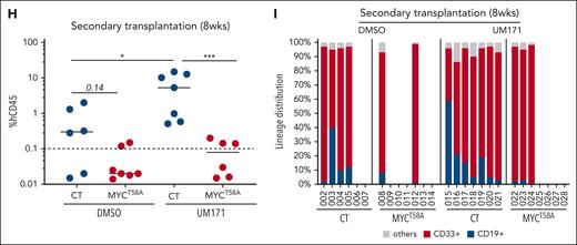 UM171-driven MYC degradation is essential for its activity on HSCs expansion. (A) Bar graph showing total cell counts after 7 days culture of control (CT), or MYCWT- or MYCT58A-transduced CD34+ cells in presence or absence of UM171 (35 nM). (B-C) Representative FACS profiles of CD34+ (B) and CD34+EPCR+ (C) subsets in CT or MYCWT- or MYCT58A-transduced CD34+ CB cells cultured for 7 days in presence of DMSO or UM171 (35 nM). (D) Absolute count of CD34+CD45RA−CD90+EPCR+ cell subset in the indicated group (CT, MYCWT, or MYCT58A) after 7 days in presence of DMSO or UM171 (35 nM). Representative of 4 independent experiments. Human CD45 engraftment (E), lineage potential (F), and percentage of human CD34+ primitive subsets (G) in primary NSG mice transplanted with ex vivo cultured CB cells from the indicated group (outcome of 2 competitive repopulation units) at 16 weeks after transplantation. Human CD45 engraftment (H) and lineage potential (I) in secondary NSG-SGM3 recipients at 8 weeks after transplantation (2-sided Mann-Whitney U test; ∗P < .05, ∗∗P < .01, and ∗∗∗P < .001). See also supplemental Figures 10 and 11.