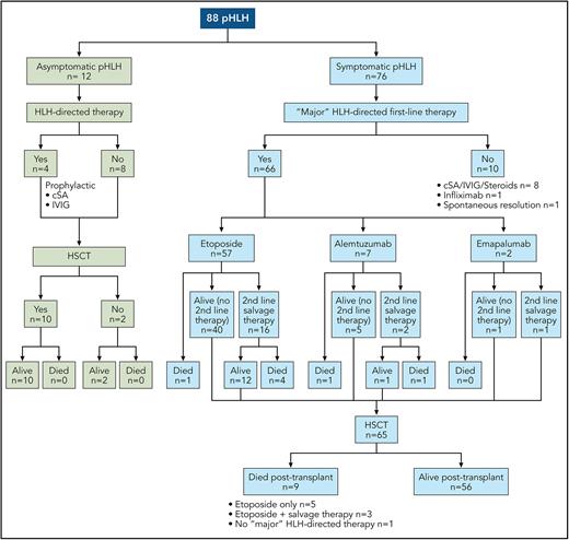 Pre-HSCT and post-HSCT course of pHLH. cSA, cyclosporine; IVIG, intravenous immunoglobulin. Professional illustration by Patrick Lane, ScEYEnce Studios.