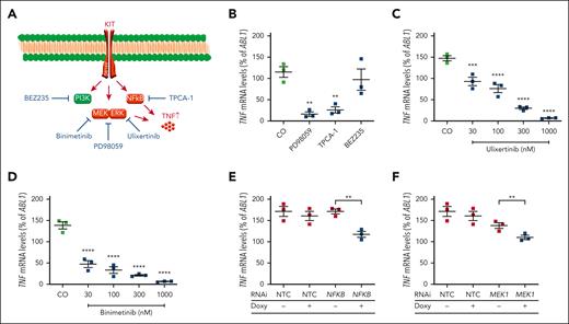 Role of NF-κB1 and MEK1 in KIT D816V-dependent expression of TNF. (A) Signaling pathways downstream of KIT D816V and applied pharmacological inhibitors. (B) Effects of different pharmacological inhibitors on TNF expression. HMC-1.2 cells were treated with PD98059 (50 μM), BEZ235 (1 μM), or TPCA-1 (20 μM) for 24 hours and TNF mRNA expression levels were measured by qRT-PCR. (C-D) HMC-1.2 cells were treated with ulixertinib (30-1000 nM) (C) or binimetinib (30-1000 nM) (D) for 5 hours and TNF expression was determined as described above. (E-F) HMC-1.2 cells were transduced with doxycycline-inducible RNAi against NF-kB1 (E), MAP2K1/MEK1 (F), or a nontargeting control (NTC). After induction with doxycycline (1 μg/mL) for 48 hours, TNF mRNA expression levels were measured by qRT-PCR. Results represent the mean and standard error of the mean of 3 independent experiments. ∗∗P < .01; ∗∗∗P < .001; ∗∗∗∗P < .0001.