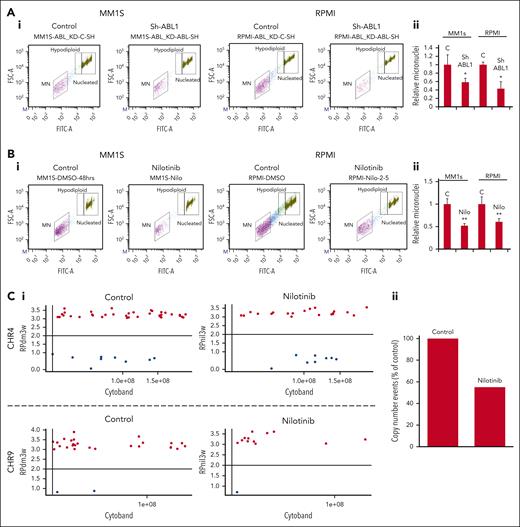 Inhibition of ABL1 by shRNA or nilotinib reduces genomic instability in MM cells. (A-B) ABL1 was inhibited in MM cell lines (MM.1S and RPMI8226) either using shRNA (C, control; sh-ABL1, ABL1-shRNA) (A) or by culturing in the presence of DMSO or 5 μM ABL1 inhibitor (nilotinib) for 48 hours (B), and cells were evaluated for genomic instability using the micronucleus assay. Flow cytometry images of micronuclei (Ai,Bi) and bar graphs showing relative fold change in micronuclei (Aii,Bii) are shown. Error bars indicate SDs of 3 independent experiments; 2-tailed P values are derived by t test (∗P < .05-.001; ∗∗P < .001). (C) RPMI8226 cells were treated with DMSO only (control) or nilotinib for 21 days, and acquisition of new copy number events relative to the baseline genome of “day 0” cells was evaluated using SNP6.0 arrays (Affymetrix). Representative image of copy number events (amplifications, red dots; deletions, blue dots) on chromosomes 4 and 9 and bar graph showing copy events over whole genome are shown. DMSO, dimethyl sulfoxide; SD, standard deviation.