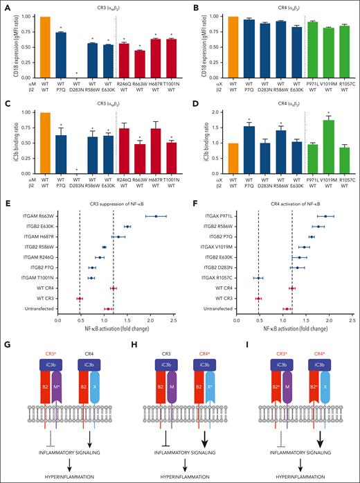 Functional characterization PF-associated CR3/4 variants. (A-B) WT and variant complement receptors were cloned and expressed in HEK-293T cells, and surface expression levels of CR3 (A) and CR4 (B) were evaluated by flow cytometry for integrin β2 (ITGB2/CD18). WT CR3 and WT CR4 are depicted in orange. Receptors containing a variant integrin β2 subunit are depicted in blue, those with a variant integrin αM (ITGAM) subunit are depicted in red, and those with a variant integrin αX (ITGAX) subunit are depicted in green. (C-D) The ability of complement receptor-expressing cells to bind immobilized iC3b was assessed using a solid-phase functional assay. iC3b binding activity of WT and variant CR3 (C) and WT and variant CR4 (D) are shown. ∗P < .05 compared to WT/WT control. (E-F) TNFα-mediated activation of an NF-ĸB dual-luciferase reporter in cells expressing the indicated PF-associated CR3 (E) or CR4 variants (F) in the presence or absence of iC3b. Control HEK-293T cells not expressing CR3 or CR4 (Untransfected) and HEK-293T cells expressing WT CR3 or WT CR4 were used as negative and positive controls, respectively. Data are shown as the mean fluorescence intensity ratio of the iC3b-plus condition to the iC3b-minus condition. Error bars represent standard error of the mean. (G) PF-associated variants in ITGAM (M∗) reduce the ability of variant CR3 (CR3∗) to suppress inflammatory signaling. (H) PF-associated variants in ITGAX (X∗) enhance the ability of variant CR4 (CR4∗) to activate inflammatory signaling. (I) PF-associated variants in the shared subunit ITGB2 (B2∗) simultaneously decrease suppression of inflammatory signaling by CR3∗ and increase activation of inflammatory signaling by CR4∗. ITGAM H687R, ITGAM T1001N, ITGAX V1019M, and ITGB2 P7Q were predicted in silico to be neutral. Shown in panels A-F are representative results of at least 3 independent experiments.
