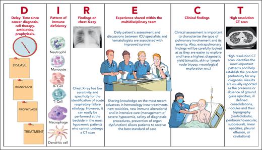 Components of the DIRECT approach. Illustration by Olivier Lescale.