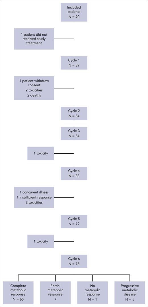 CONSORT diagram of patients in the PVAB study.