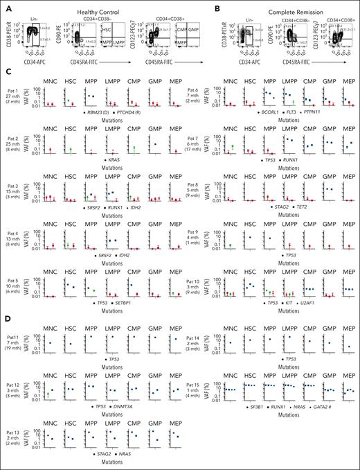 Clonal involvement of stem and progenitor cell compartments in patients with MDS in CR after allo-HSCT. (A-B) Representative FACS profiles of BM cells from an aged-matched healthy control (A) and from a patient during CR who had later relapsed (B; patient 8). Numbers in left panels indicate mean (± SEM) percentages of BM MNCs; in the second and third columns, percentages of total CD34+ cells for 12 age-matched normal controls (A) and 15 patients who relapsed (B). Also indicated are the quadrants from which investigated HSPC populations were sorted for mutational MRD analysis (for individual FACS profiles at diagnosis, CR, and relapse for all patients who experienced relapse, see supplemental Figure 3). (C-D) ddPCR screening for patient-specific mutations identified in BM MNCs before transplantation and still present at relapse was used to assess clonal involvement in remission BM MNCs and purified HSPCs. For each patient the number of months (mth) before relapse are shown, and in parenthesis months after transplantation. (C) Ten patients in whom MRD-positivity of HSPCs preceded MRD-positivity of BM MNCs and (D) 5 additional patients in whom MRD-positivity of distinct HSPCs was higher than MRD-positivity of BM MNC. For all patients (C-D), with the exception of patient 7, the earliest time point after allo-HSCT at which MNCs and/or HSPCs were found to be confidently MRD-positive, is shown. For patient 1, in whom the dominating diagnostic and relapse clones were mutually exclusive (see supplemental Figure 2), data are shown for the earliest time point after allo-HSCT when both the dominant diagnostic (D) and dominant relapse (R) mutation was detected in HSPCs. Error bars represent the 95% confidence interval of VAFs calculated according to Poisson distribution, as further specified in “Methods.” Blue color indicates highly confident clonal involvement, red indicates negative, and green indicates inconclusive data based on the LOD established in normal BM samples for each ddPCR probe (supplemental Table 6) as well as the number of cells analyzed as described in supplemental Methods. ∗Analysis negative for clonal involvement (red) but based on analysis of <50 purified cells. Hashtag (#): mutation of “unknown” significance as specified in supplemental Methods. Raw data including cell numbers analyzed can be found in source data file 1. HSC, hematopoietic stem cell (LIN−CD34+CD38low/−CD90+CD45RA−); MPP, multipotent progenitor (LIN−CD34+CD38low/−CD90−CD45RA−); LMPP, lymphoid-primed MPP (LIN−CD34+CD38low/−CD90−CD45RA+); CMP, common myeloid progenitor (LIN−CD34+CD38+CD90−CD123+CD45RA−); GMP, granulocyte-monocyte progenitor (LIN−CD34+CD38+CD90−CD123+CD45RA+); and MEP, megakaryocyte-erythroid progenitor (LIN−CD34+CD38+CD90−CD123−CD45RA−).