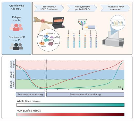 MRD detection in flow cytometry (FCM)-purified HSPCs enriched from the BM of patients in CR after allo-HSCT precedes that in whole BM cells and more reliably predicts disease relapse. CMP, cytidine 5′-monophosphate; GMP, granulocyte monocyte progenitors; LMPP, lymphomyeloid primed progenitors; LT-HSC, long-term hematopoietic stem cells; MEP, megakaryocyte-erythroid progenitors; MPP, multipotent progenitors. The figure was created with BioRender.com.
