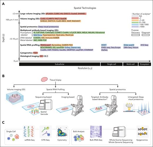 Overview of technologies for evaluating the cellular composition of tissues. (A) Spatial technologies organized by resolution (x-axis) and volume of tissue that can be profiled (y-axis). Number of analytes (∗) and resolutions are provided as an estimate only. These numbers are based on the literature44,82-87 and discussions with method developers. Numbers are subject to change as technology improves. Subcellular, <1 μm; single cell, 1-9 μm; multicell, 10-50 μm; and Ecosystem, 500 μm. (B) Simplified depiction of spatial approaches. Antibody-based detection∗ for spatial proteomics denotes that only optical microscopy approaches are represented here not IMC or MIBI-TOF. (C) Broad overview of technologies that can be applied to cell suspensions prepared from dissociated tissues. CITE-Seq, cellular indexing of transcriptomes and epitopes by sequencing; FISH, fluorescence in situ hybridization; H&E, hematoxylin and eosin; IHC, immunohistochemistry.