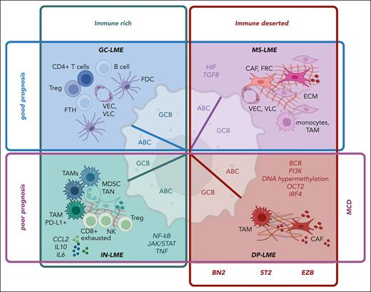 DLBCL LME categories. Gene expression classification of “immune rich” and “immune deserted” DLBCL TMEs into: (clockwise) GC-LME, MS-LME, DP-LME, and IN-LME. The proportion of GCB-like and ABC-like DLBCLs per LME category is indicated. GC- and MS-LMEs carry comparatively better prognosis than IN- and DP-LMEs. DLBCL genetic classes associated with LMEs are indicated: MCD with IN- and DP-LMEs and BN2, ST2, and EZB with “immune deserted” LME categories. Representative TME cell subtypes and functions as well as pathways activated in lymphoma cells are shown for each LME category. CAF, cancer-associated fibroblasts; FTH, follicular T helper cell; ECM, extracellular matrix; FDC, follicular dendritic cells; FRC, fibroblastic reticular cells; TAN, tumor-associated neutrophils; TAM, tumor-associated macrophages; Treg, regulatory T cell; VEC, vascular endothelial cells; VLC, vascular lymphatic cells; MDSC, myeloid-derived suppressor cells.