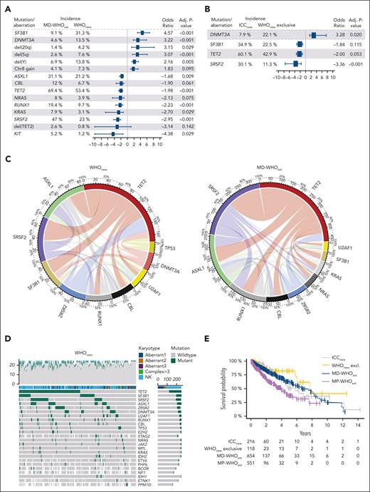 Molecular data analysis of MD-WHOest, WHOnew, and ICCnew cases. (A-B) Forest Plots comparing the incidences and ORs of 15 alterations significantly differing between 654 MD-WHOest and 356 WHOnew cases (A) and 4 alterations significantly differing between 241 ICCnew and 127 WHOnew exclusive cases (B). (C) Circos plots showing the comutational profile of 251 WHOnew (left) and 474 MD-WHOnew (right) cases with >20 genes sequenced. (D) Mutations were identified by NGS in 251 WHOnew patients with >20 genes sequenced. The 24 mutations with highest incidence and respective karyotypes are depicted, ordered from the most to the least frequently mutated, with each column representing a patient and each row representing a gene. The number of mutations identified/genes sequenced per patient is shown as columns in the top row. (E) Kaplan-Meier curves of the ICCnew, WHOnew exclusive, MD-WHOest, and MP-WHOest cohorts. WHOnew and ICCest cases showed a median OS of 7.7 and 5.7 years (P = .520 and P = .796 vs MD-CMMLest, respectively), vs 7.5 years in MD-WHOest and 3.3 years in MP-WHOest. Aberrant1-3, 1-3 cytogenetic aberrancies; Complex >3, complex karyotype with >3 cytogenetic aberrancies; NGS, next-generation sequencing; NK, normal karyotype.