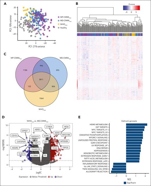 Transcriptomic comparison of WHOnew, MD-WHOest, MP-WHOest, and healthy controls. (A) Principal component analysis of all included WHOnew, MD-WHOest, MP-WHOest, and healthy control samples. (B) Unsupervised clustering of 33 WHOnew and 193 MD- and MP-WHOest cases. (C) Overlap between significantly differentially expressed genes in the WHOnew, MD-WHOest, and MP-WHOest cohorts compared against healthy controls. (D) Volcano plot depicting differential gene expression between the WHOnew and MD-WHOest cohorts. The dotted line denotes the FDR cutoff at 0.05. (E) Normalized enrichment score of the 19 significantly enriched hallmark gene sets highlighted in dark blue. FDR, false discovery rate; logFC, log fold change; PC, principal component; NES, normalized enrichment score.