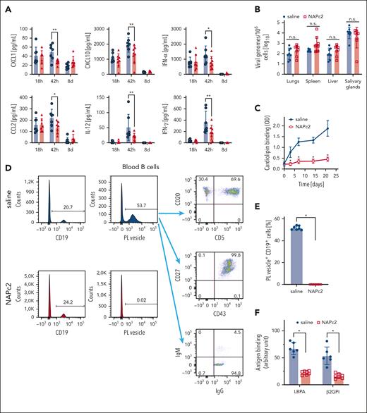 NAPc2 prevents the development of aPL in mCMV infection. (A) Blood cytokine levels of WT animals infected with 2 × 105 plaque-forming unit mCMV and treated with 0.5 mg/kg NAPc2 (red) or saline (blue) every second day. In contrast to the depicted significantly reduced cytokine levels 42 hours after infection, NAPc2 treatment had no effect on TNF, IL6, IL1β, IL10, and CCL5 expression measured in the same multiplex assay; ∗P< .05, ∗∗P< .01, 2-way ANOVA, Sidak comparison. (B) Viral loads determined by quantification of genomic viral DNA in the indicated organs 21 days after infection in mice treated from day 2 after viral infection. (C) Serum anti-CL titers were determined at the indicated times; n = 8 mice, ∗P ≤ .001; 2-way ANOVA, Sidak multiple comparisons test. (D) Fluorescent PL vesicles staining of circulating B cells at day 10 after infection. PL-positive B cells were identified as CD5+CD19+CD27+CD43+ memory type B1a cells in peripheral blood and absent in NAPc2-treated mice. (E) Quantification of blood PL+ CD19+ B cells in mice treated with NAPc2 or saline control at day 10. Mean ± SD, n = 8 mice, ∗P < .0001, t test following Shapiro-Wilk test for normal distribution (F) serum anti-LBPA and anti-β2GPI titers were determined 12 weeks after infection and NAPc2 treatment for 20 days. n = 6 to 7 mice, ∗P ≤ .0001; 2-way ANOVA, Sidak multiple comparisons test.