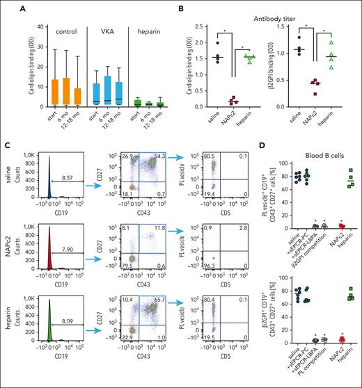 Clinically used heparin does not suppress aPL development in SLE–like autoimmune disease. (A) Anti-CL titers observed over 1 year in a single-center cohort of 46 patients without antithrombotic therapy and under heparin (n = 8) or vitamin K antagonist (VKA) (n = 16) therapy. (B) Serum anti-CL or anti-β2GPI titers in MRL-lpr mice treated for 19 days with NAPc2 or heparin; n = 4 per group, ∗P < .002; 1-way ANOVA. (C) Representative flow cytometry analysis of B1 cells reactive with PL vesicles in the blood of mice treated for 19 days with NAPc2 or heparin. (D) Quantification of CD19+CD43+CD27+ B1 cells reactive with PL vesicle+ or β2GPI+ at day 19 of treatment. Specificity of B1-cell reactivity was demonstrated by competition with the pathogenic target for aPL, sEPCR-LBPA, vs nonmodified sEPCR-PC. Note that PL vesicle and β2GPI staining was also inhibited by the addition of unlabeled alternative antigen (β2GPI or PL, respectively), in line with dual reactive B1 cells (n = 6-9 per group), ∗P < .0001; 1-way ANOVA, compared with saline-treated animals.