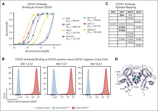 Generation of human mAbs specific for CD161. (A) Parental and affinity-matured CD161 mAbs were incubated with Jurkat cells expressing human CD161 at the indicated mAb concentrations. Cell surface–bound antibodies were then quantified with a fluorophore-conjugated secondary antibody and normalized to CD161 surface expression. HP-3G10 (3G10) is a commercially available murine CD161 mAb. (B) Affinity-matured CD161 mAbs were incubated with CD161+ or CD161– Jurkat cells, and bound mAbs were detected with a fluorophore-conjugated secondary antibody. (C) Alanine mutants of CD161 were generated for charged and neighboring residues, and these mutants were transiently expressed in 293F cells. Parental antibodies were titrated as in panel A, and the change in mean fluorescence intensity (at mAb concentration of 100 nM) was used to identify mutations that affected CD161 antibody binding. Mutations with a reduction in binding of ≥80% (bold), 60% to 80% (italic), and 40% to 60% (nonstylized) are indicated for each antibody. (D) Epitope residues listed in panel C are mapped on the CLEC2D crystal structure (Protein Data Bank 5MGS); teal, KW1; maroon, KW7; and yellow, KM12. Representative results of 2 independent experiments. MFI, mean fluorescence intensity.