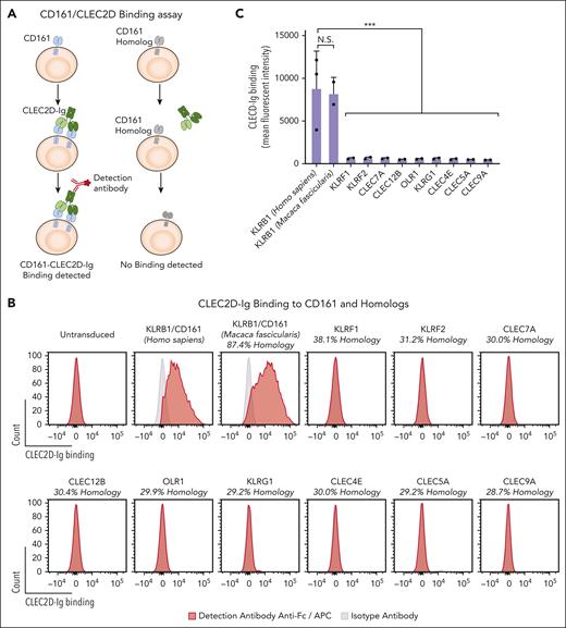 Figure 2.