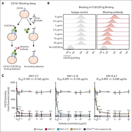 CD161 mAbs block CLEC2D binding. (A) Approach for measuring competition of bivalent CLEC2D-Ig binding to cell surface CD161. Jurkat cells expressing human CD161 were incubated with CLEC2D-Ig and increasing concentrations of isotype control or CD161-blocking mAbs. Cell surface–bound CLEC2D-Ig was then quantified with a fluorophore-conjugated secondary mAb. (B) CD161+ Jurkat cells were incubated with CLEC2D-Ig in the presence of increasing concentrations of CD161 blocking mAbs (clones KW7.3.7, KW1.3.12, and KM12.4.7) or an isotype control mAb. Bound CLEC2D-Ig was quantified by flow cytometry. (C) Mean fluorescence intensity of bound CLEC2D-Ig fitted to nonlinear dose-response curve (calculated by least squares regression method and shown in dashed line); calculated half-maximal inhibitory concentrations (IC50s) are listed for each antibody. Representative results of >3 independent experiments. Unpaired t test at each antibody concentration compared with isotype control; ∗P < .05; ∗∗P < .01; ∗∗∗P < .001.