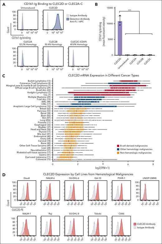 CLEC2D is highly expressed in hematological malignancies and binds with a high degree of specificity to CD161. (A-B) LN229 cells that lacked expression of CLEC2D or related C-type lectins were lentivirally transduced with complementary DNAs encoding human CLEC2D or other CLEC2 family members. Soluble bivalent CD161-Fc was incubated with transduced cells, and binding was quantified with a fluorophore-conjugated anti-Fc antibody. (A) Analysis of CD161-Fc binding to CLEC2D and other members of the CLEC2 family (CLEC2A-C). Percent sequence identity to the extracellular domain of human CLEC2D is indicated for each homolog. Representative assay of 3 independent experiments. (B) Mean fluorescence intensity of bound CD161-Fc to the panel of CLEC2A-D transfectants (combined data from 2 independent assays). (C) CLEC2D mRNA expression by a diverse panel of cancer cell lines from the Broad Institute Cancer Cell Line Encyclopedia. The number of individual cell lines is indicated for each cancer type. B-cell malignancies (red) and other hematological malignancies (blue) are highlighted. (D) CLEC2D surface expression by a panel of cell lines from hematological malignancies; isotype control Ab staining is indicated in gray. Glioblastoma cell line LN229 (no CLEC2D expression) used as negative control. Representative results of 3 independent experiments. Unpaired t test comparison to CLEC2D mean fluorescence intensity; ∗∗∗P < .001. APC, antigen presenting cells; CLL, chronic lymphocytic leukemia.