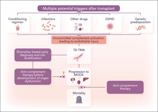 Complement blockade as a therapeutic strategy in TA-TMA. GVHD, graft-versus-host disease; MODS, multiorgan dysfunction. Professional illustration by Somersault18:24.