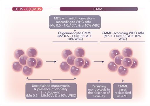 The most relevant changes introduced by the WHO and ICC in the classification of chronic myelomonocytic leukemia (CMML) and premalignant monocytosis. Both WHO and ICC systems lowered the cutoff for absolute monocytosis to ≥0.5×109/L absolute monocyte count, thereby incorporating cases formerly referred to as oligomonocytic into the diagnosis of CMML. In addition, both classification systems recognized proof of clonality as a key criterion for defining CMML, leading to the exclusion of cases without evidence of clonal hematopoiesis. Finally, both classification systems introduced myeloid neoplasm precursor states relevant to CMML, under the broad definition of clonal cytopenia of undetermined significance (CCUS) or a specific category of clonal monocytosis of undetermined significance (CMUS). Professional illustration by Somersault18:24.