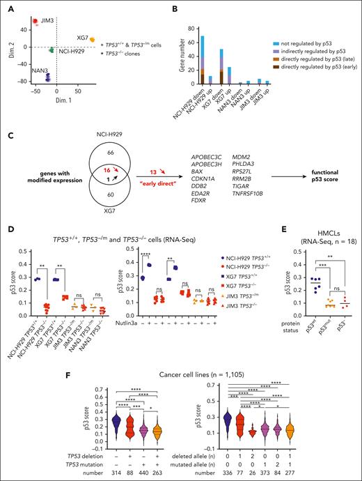 A 13-gene functional p53 score established from isogenic TP53 CRISPR/Cas9 HMCLs. (A) Principal component analysis of TP53+/+ or TP53−/mut and TP53−/− cells derived from NCI-H929, XG7, JIM3, and NAN3 HMCLs. Principal component analysis was performed on all cells profiled in triplicate wells using RNA-seq (DGE-seq). RNA profiling was performed on TP53+/+ control (bulk) cells and TP53−/− clones. (B) Number of genes significantly differentially expressed between TP53+/+ control cells and TP53−/− clones. The graph represents the number of genes significantly downregulated or upregulated in TP53−/− NCI-H929, XG7, JIM3, and NAN3 clones compared to their respective TP53+/+ or TP53−/mut control cells (false discovery rate < 0.05). Genes were classified according to their unknown or known p53 transactivation: early-direct, late-direct, late-indirect and not regulated by p53.28 Expression profiling was performed by DGE-seq in triplicate wells (see supplemental Table 2 for complete gene listing). (C) Schematic representation of the functional p53 score construction. Sixteen downregulated genes in TP53−/− clones were shared between NCI-H929 and XG7, and 13 known as early-direct p53 regulated genes were selected for establishing the p53 functional score. (D) The p53 score segregates the clones according to their TP53 status. The score was calculated in TP53+/+ or TP53−/mut and TP53−/− NCI-H929, XG7, JIM3, and NAN3 cells under constitutive (left) or 24-hour nutlin3a (2 μM for XG7 cells and 10 μM for all other clones) culture (right). Statistical analyses were performed using the Mann-Whitney U test. Blue, red, and orange represent TP53+/+, TP53−/−, and TP53−/mutated cells, respectively. (E) The p53 score segregates HMCLs according to their p53 status. The score was calculated in 18 HMCLs characterized by DGE-seq. TP53 sequencing was performed on complementary DNA and p53 expression was determined by western blotting (supplemental Table 4). Statistical analyses were performed using the Kruskal-Wallis test with multiple comparisons. (F) The p53 score is functional in 1105 cancer cell lines with different TP53 status. The score was calculated in 1105 cancer cell lines from DepMap and analyzed according to the presence of TP53 deletion and/or mutation (left) and to the number of TP53 deletion or mutation (right). Statistical analyses were performed using the Kruskal-Wallis test with multiple comparisons. ∗∗∗∗P < .0001; ∗∗∗P < .001; ∗∗P < .01; ∗P < .05. ns, not significant.