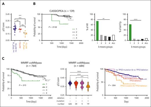 The 13-gene p53 score is predictive of overall survival. (A) The score discriminates patient samples according to TP53 status. The score was calculated in 38 patient samples characterized by DGE-seq. Del17p and TP53 sequencing were determined by FISH and Sanger sequencing of complementary DNA products, respectively (supplemental Table 6).25 Statistical analysis was performed using the Kruskal-Wallis test with multiple comparisons. (B) The p53 score is predictive of overall survival (OS) of 139 CASSIOPEA patients. Groups of patients were determined according to the score using the K-means method (supplemental Figure 3A). Left graph represents the OS of the 4 groups. Middle and right graphs represent the frequency of patients classified as high risk or with del17p in each K-means groups. Statistical significance was determined using the log-rank (Mantel-Cox) test or χ2 test. (C) OS of 764 MMRF-coMMpass patients according to p53 score. Groups were determined using the K-means method (supplemental Figure 3B). Left graph represents the OS of the 4 groups. Middle graph represents the p53 score in groups separated according to the presence of TP53 deletion or/and mutation in 684 patients, and the right graph represents their OS. Variant allele frequency thresholds were set up at < −0.5 for deletion and >0.35 for mutation. Statistical significance was determined using the log-rank (Mantel-Cox) test. ∗∗∗∗P < .0001; ∗∗∗P < .001; ∗∗P < .01; ∗P < .05.