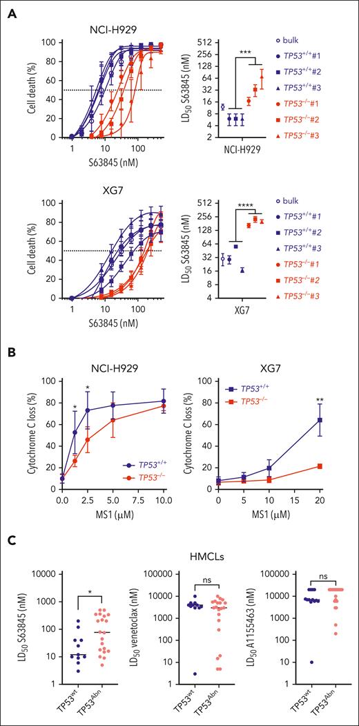 TP53 loss impairs response to MCL1 BH3 mimetic S63845. (A) CRISPR/Cas9-mediated TP53 inactivation increased resistance to BH3 mimetic specific to MCL1. (Left) BH3 mimetic specific to MCL1 dose response in isogenic TP53+/+ and TP53−/− NCI-H929 and XG7 clones. Graphs represent 3 independent experiments. (Right) LD50 S63845 values in TP53+/+ control cells (bulk) and TP53+/+ and TP53−/− clones in NCI-H929 (top) and XG7 (bottom); see supplemental Table 7. Statistical analysis was performed using the Mann-Whitney U test. (B) CRISPR/Cas9-mediated TP53 inactivation decreased priming to MCL1. Priming to MCL1 was assessed by determining cytochrome-C release induced by MS1 peptide. Cytochrome-C staining was performed using anti–cytochrome-C monoclonal antibody and analyzed by flow cytometry. Graphs represent the mean ± standard deviation (SD) of 3 to 4 independent experiments. Statistical analysis was performed using the Wilcoxon matched pairs signed-rank test. (C) S63845 LD50 values were significantly lower in TP53wt HMCLs. S63845, venetoclax, and A1155463 LD50 values were analyzed in 11 TP53wt and 20 TP53Abn HMCLs (supplemental Table 8). Each point represents 1 HMCL; median values are indicated. For A1155463 and venetoclax, LD50 was arbitrarily set up at 20 000 and 10 000 nM when it did not reach 10 000 or 5000 nM, respectively. Statistical analyses were performed using the Mann-Whitney U test. ∗∗∗∗P < .0001; ∗∗∗P < .001; ∗∗P < .01; ∗P < .05.