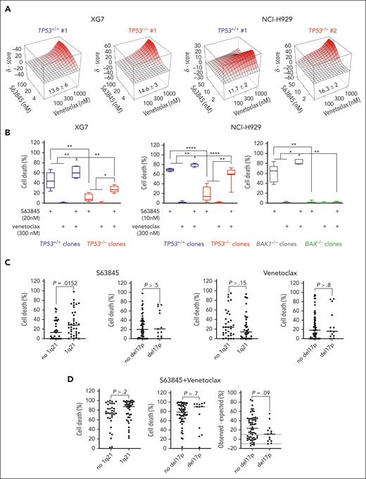 TP53 or BAX silencing impaired response to BH3 mimetics combination. (A) Combination of S63845 and venetoclax was synergistic in TP53+/+ and TP53−/− NCI-H929 and XG7 clones. Clones were cultured for 24 hours with increasing concentrations of S63845 and venetoclax as indicated in the figure. Bliss scores were calculated using SynergyFinder (https://synergyfinder.fimm.fi/). The figure represents the mean of 3 independent experiments. (B) TP53 and BAX controlled the response to BH3 mimetics combination. TP53+/+ (n = 3) and TP53−/− (n = 3) XG7 and NCI-H929 clones as well as BAX−/− (n = 3) and BAK1−/− (n = 3) NCI-H929 clones were cultured for 24 hours with 20 nM (XG7) or 10 nM (NCI-H929) S63845 and/or 300 nM venetoclax, and cell death was assessed using flow cytometry. Statistical analyses were performed using the Mann-Whitney U or Wilcoxon matched pairs signed-rank tests. (C) Gain of 1q21, but not del17p, affected the response to S63845. Response to 25 nM S63845 or 300 nM venetoclax was assessed in 71 myeloma samples, characterized by FISH for both 1q21 gain and del17p (Table 2). The graphs represent cell death induced by each BH3 mimetic in function of 1q21 gain or del17p. Statistical analyses were performed using the Mann-Whitney U test. (D) Deletion of 17p had a trend to decrease the synergy between S63845 and venetoclax. The graphs represent cell death induced by 25 nM S63845 combined with 300 nM venetoclax depending on 1q gain or del17p (left and middle), and the difference between observed cell death (25 nM S63845 combined with 300 nM venetoclax) minus expected cell death (sum of cell death induced by 25 nM S63845 and by 300 nM venetoclax), depending on del17p. Cell death was assessed after 24 hours using flow cytometry. Statistical analyses were performed using the Mann-Whitney U test. ∗∗∗∗P < .0001; ∗∗∗P < .001; ∗∗P < .01; ∗P < .05.