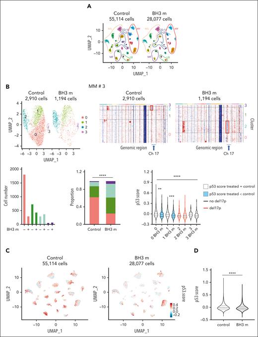 scRNA-seq analysis of response to BH3 mimetics. (A) Uniform Manifold Approximation and Projection (UMAP) representation of myeloma cells from 24 control and BH3 mimetics–treated patient samples using scRNA-seq. Mononuclear cells from 23 bone marrow or 1 pleural effusion from patients with MM were cultured overnight with interleukin-6 in the presence, or absence, of 25 nM S63845 and 300 nM venetoclax (BH3 m). Cell processing and scRNA-seq analysis were performed as described in supplemental Materials and methods. Each patient sample is numbered according to supplemental Table 10, and their molecular classification is indicated. (B) Example of individual scRNA-seq analysis of response to BH3 mimetics. (Top left) UMAP split representation of myeloma cells in merged control and treated samples from patient no. 3; cells are colored according to clusters. (Top right) Infer copy number variation (InferCNV) of control and BH3 mimetics–treated cells. InferCNV was calculated using broadinstitute/infercnv package in R in comparison with normal bone marrow plasma cells. (Bottom left) The graphs represent the number of cells per cluster and their proportion in each condition. (Right) Statistical comparison of p53 score in paired clusters (Mann-Whitney U test). Black and red violins indicate no del17p and del17p, respectively. All samples are shown in supplemental Figure 12. (C-D) The p53 score is decreased in cells surviving to BH3 mimetic combination. (C) UMAP representation of p53 score of myeloma cells split into control (left) and treated (right) samples (blue = low; red = high). The p53 score was calculated independently in each patient samples. (D) The graph represents the violin representation of p53 score in 55 114 control cells and 28 077 BH3 mimetic–treated cells from the 24 samples. Statistical analysis was performed using the Mann-Whitney U test. ∗∗∗∗P < .0001; ∗∗∗P < .001; ∗∗P < .01; ∗P < .05.