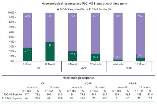 Hematologic response at 6- and 12-month time points and FLC-MS status.