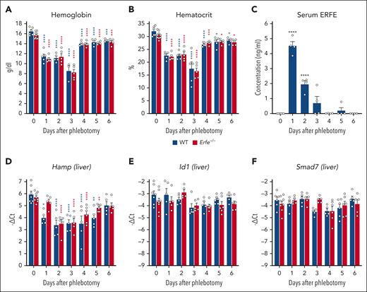Recovery from hemorrhage-induced anemia in WT and Erfe−/− mice. Hemoglobin (A) and hematocrit (B) levels in 7- to 9-week-old WT (blue) and Erfe−/− (red) male mice 0, 1, 2, 3, 4, 5, and 6 days after phlebotomy (500 μL). (C) Time course of serum ERFE concentration in phlebotomized WT mice. mRNA expression of Hamp (D), Id1 (E), and Smad7 (F) in the liver of phlebotomized WT and Erfe−/− mice. Data shown are mean ± standard error of the mean (SEM) and were compared for each time point with values for control mice at t = 0 (n = 5-8) for each genotype by 2-way (A,B,D,E,F) or 1-way (C) analysis of variance (ANOVA) and corrected for multiple comparisons by the Holm-Šidák method. ∗∗∗∗P < .0001; ∗∗∗P < .001; ∗∗P < .01; ∗P < .05.