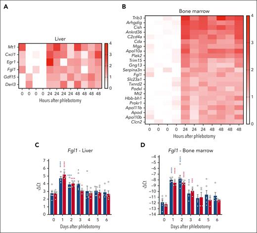 Fgl1 mRNA expression is induced in the mouse liver during anemia. Representative heat maps of the transcripts induced in the liver (A) and the bone marrow (B) at 24 and 48 hours compared to control mice at t = 0. Time course of Fgl1 mRNA expression in the liver (C) and the bone marrow (D) 1 to 6 days after phlebotomy in WT and Erfe−/− mice (n = 5-8). WT and Erfe-/- as shown in Figure 1. Data shown are mean ± standard error of the mean (SEM) and were compared for each time point with values for control mice at t = 0 by 2-way ANOVA and were corrected for multiple comparisons by the Holm-Šidák method (C-D). ∗∗∗∗P < .0001; ∗∗∗P < .001; ∗P < .05.
